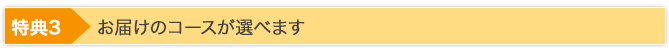 特典3 お届けコースが選べます
