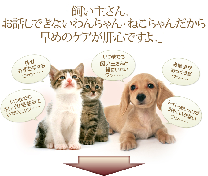 「飼い主さん、お話しできないわんちゃん・ねこちゃんだから早めのケアが肝心ですよ。」